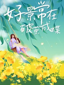 好景常在：破茧成蝶