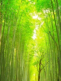 穿越少白又穿越