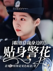 霸道总裁身边的贴身警花