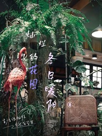 小熊花园：冬日暖阳