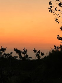 烟雨逢君