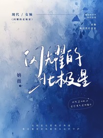 閃耀的北極星