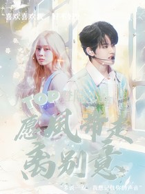 TOP登陆少年—愿风带走离别意