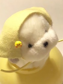 曲愛……