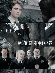 HP：犹落蓝雾树中花