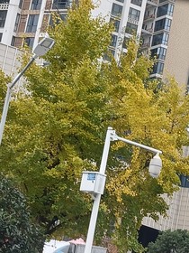 夢別鳴