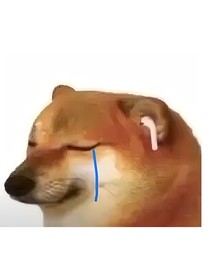 麻雀仔