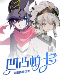 凹凸帕卡