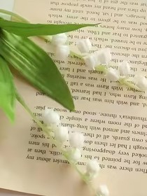 校园暗隅与光同栖