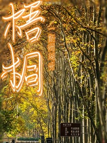 梧桐树下的谜底