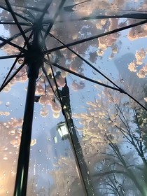 残光暮景