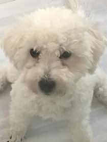 文案库（每周更新）