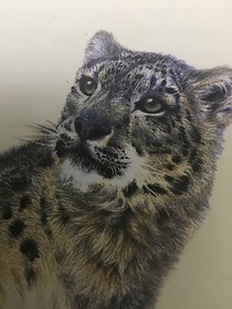 情满森林
