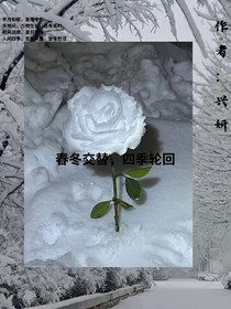 春冬交替，四季轮回