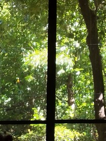 一场秋夏的梦