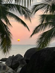 叶小龙之海岛求生