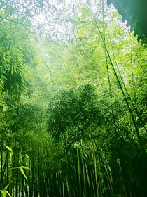 孤身一人有你-d100