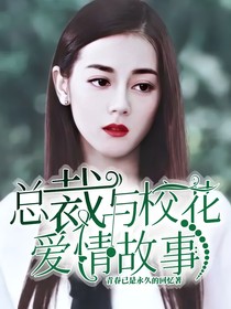 总裁与校花爱情故事：