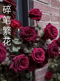 碎笔繁花