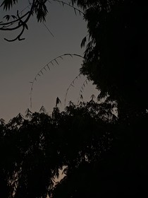 我是丧尸？——末日笔记