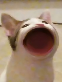 凹凸：我和姐姐的離譜穿越