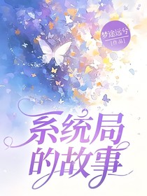 系统局的故事