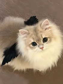 真相在小说里