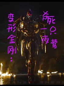 变形金刚：杀死一只夜莺