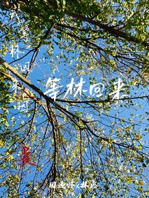 等林回来