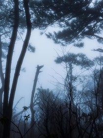 规则怪谈：游戏设计师
