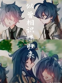 似曾相识蝶归来
