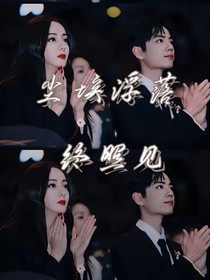 尘埃浮落终照见