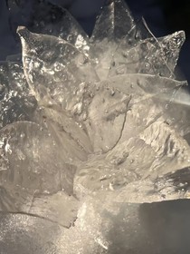 落榆