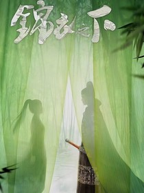 快穿——锦衣之下