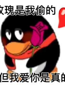 抽象到极致就是高级