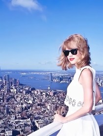 红柿子与烂番茄