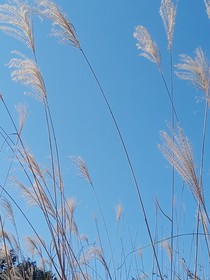 稚愛……