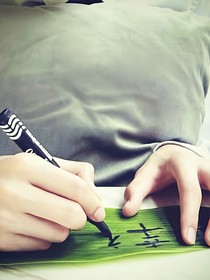 落叶归根，我归你——杨桂