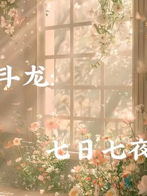 斗龙：七日七夜