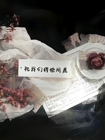 他的眼里是星辰大海