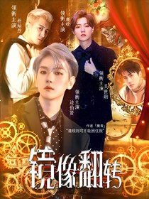 全娱：镜像翻转