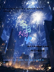 冬日烟花