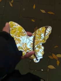 落叶与蝶