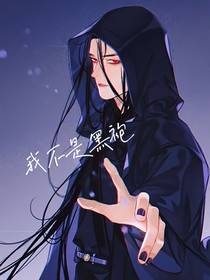 我不是黑袍