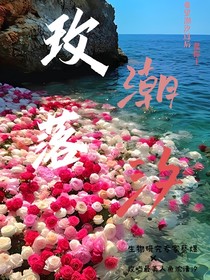 玫落潮汐