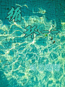 循环——