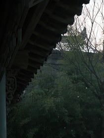 不定时记录日记