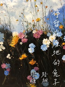 停留在原地的兔子