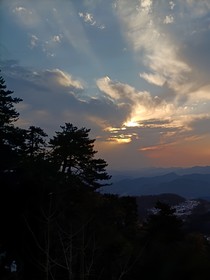 车遥遥