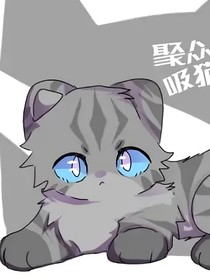 猫武士改写